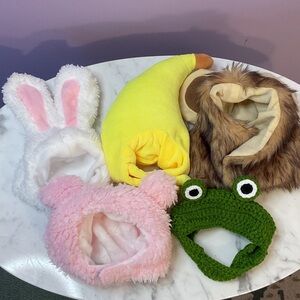 Hats for cats five hats